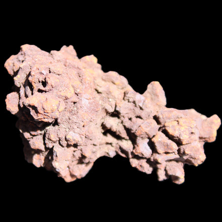 Jurassic Coprolite from Madagascar 78*53*42mm 150g in sunlight - Rocks and Things Store
