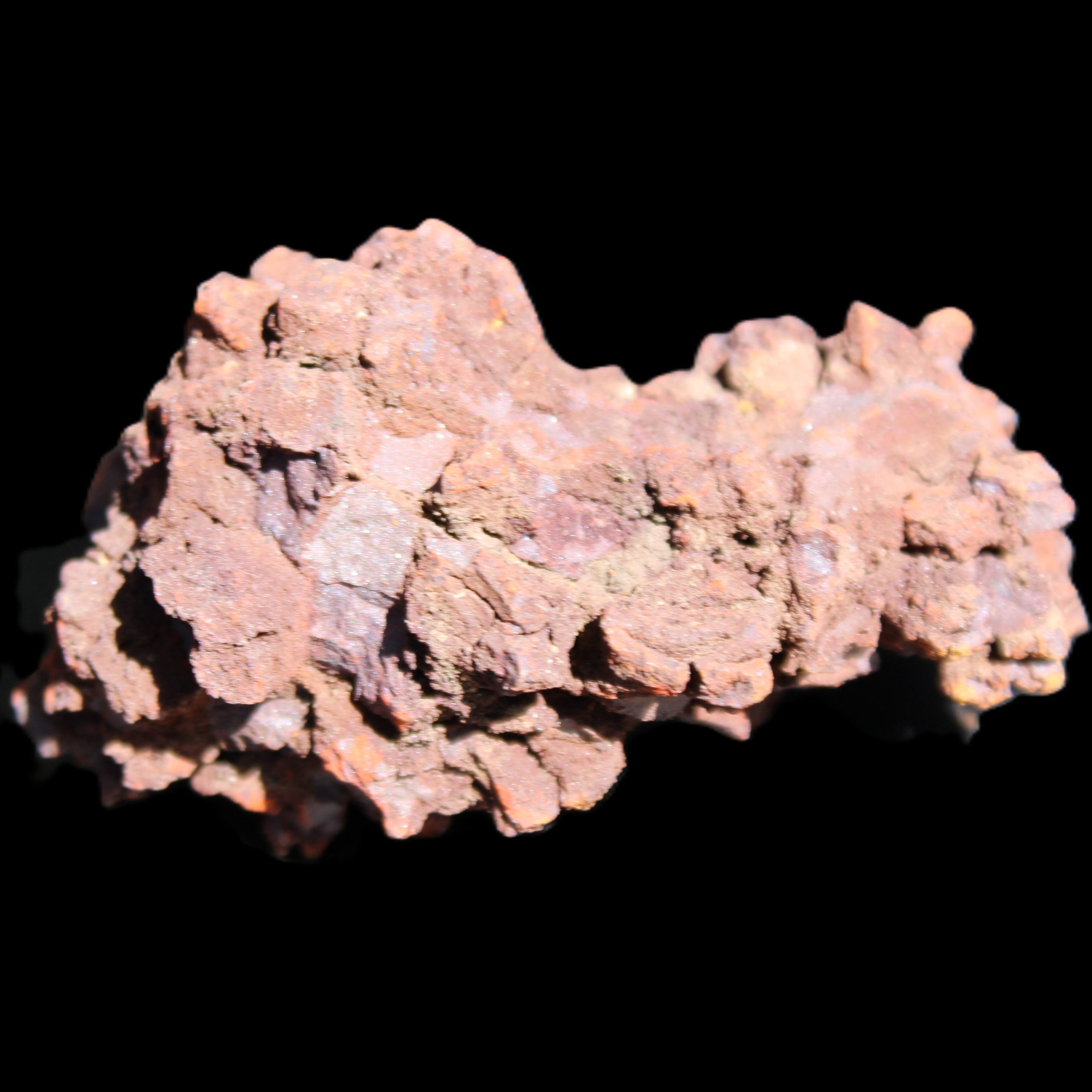 Jurassic Coprolite from Madagascar 78*53*42mm 150g in sunlight - Rocks and Things Store