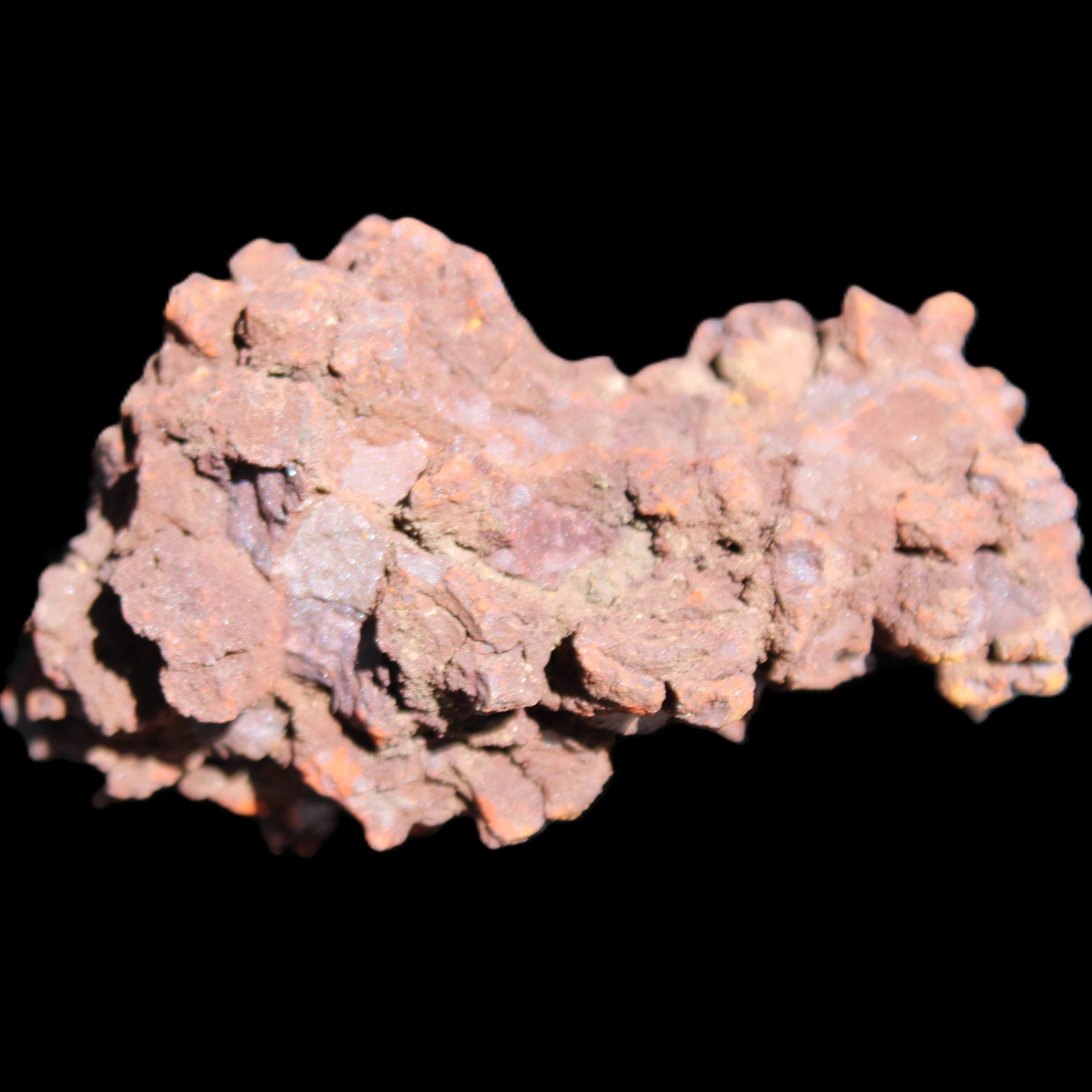 Jurassic Coprolite from Madagascar 78*53*42mm 150g in sunlight - Rocks and Things Store