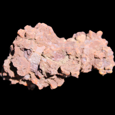 Jurassic Coprolite from Madagascar 78*53*42mm 150g in sunlight - Rocks and Things Store