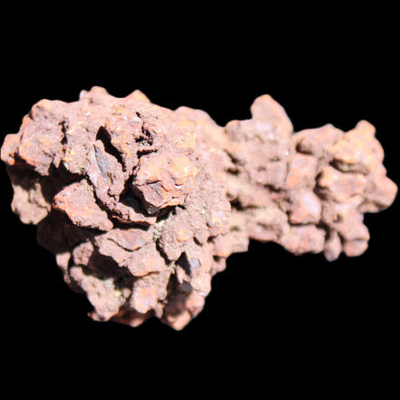 Jurassic Coprolite from Madagascar 78*53*42mm 150g in sunlight - Rocks and Things Store