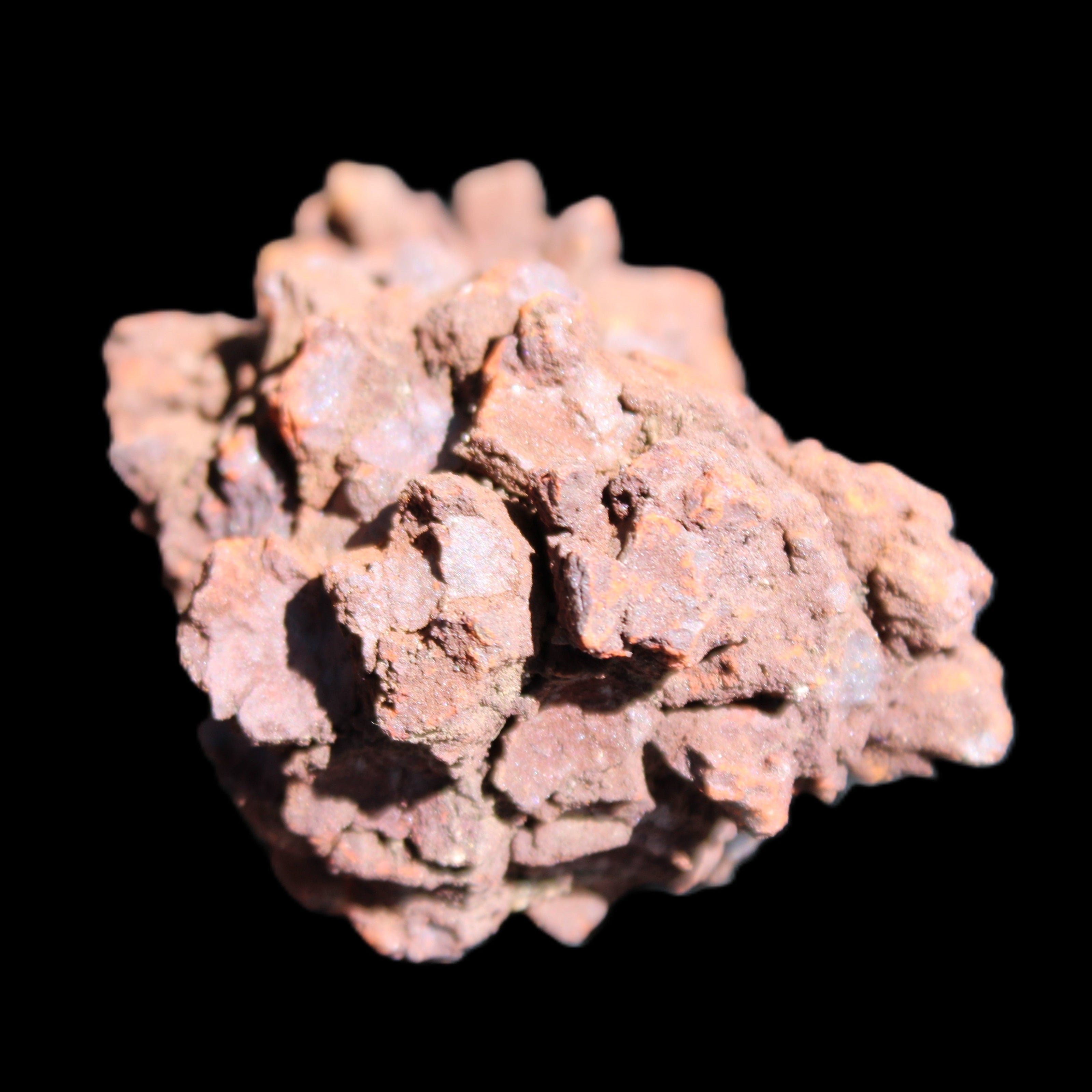 Jurassic Coprolite from Madagascar 78*53*42mm 150g in sunlight - Rocks and Things Store
