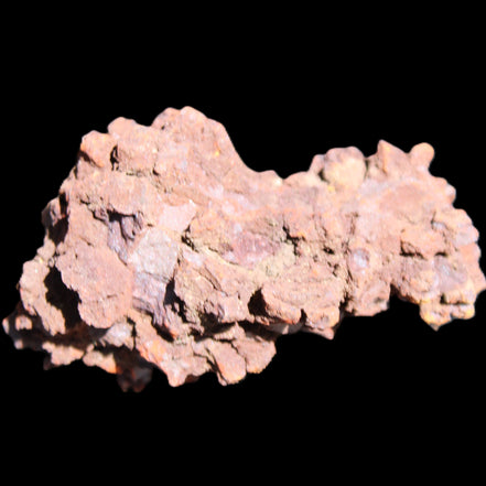 Jurassic Coprolite from Madagascar 78*53*42mm 150g in sunlight - Rocks and Things Store