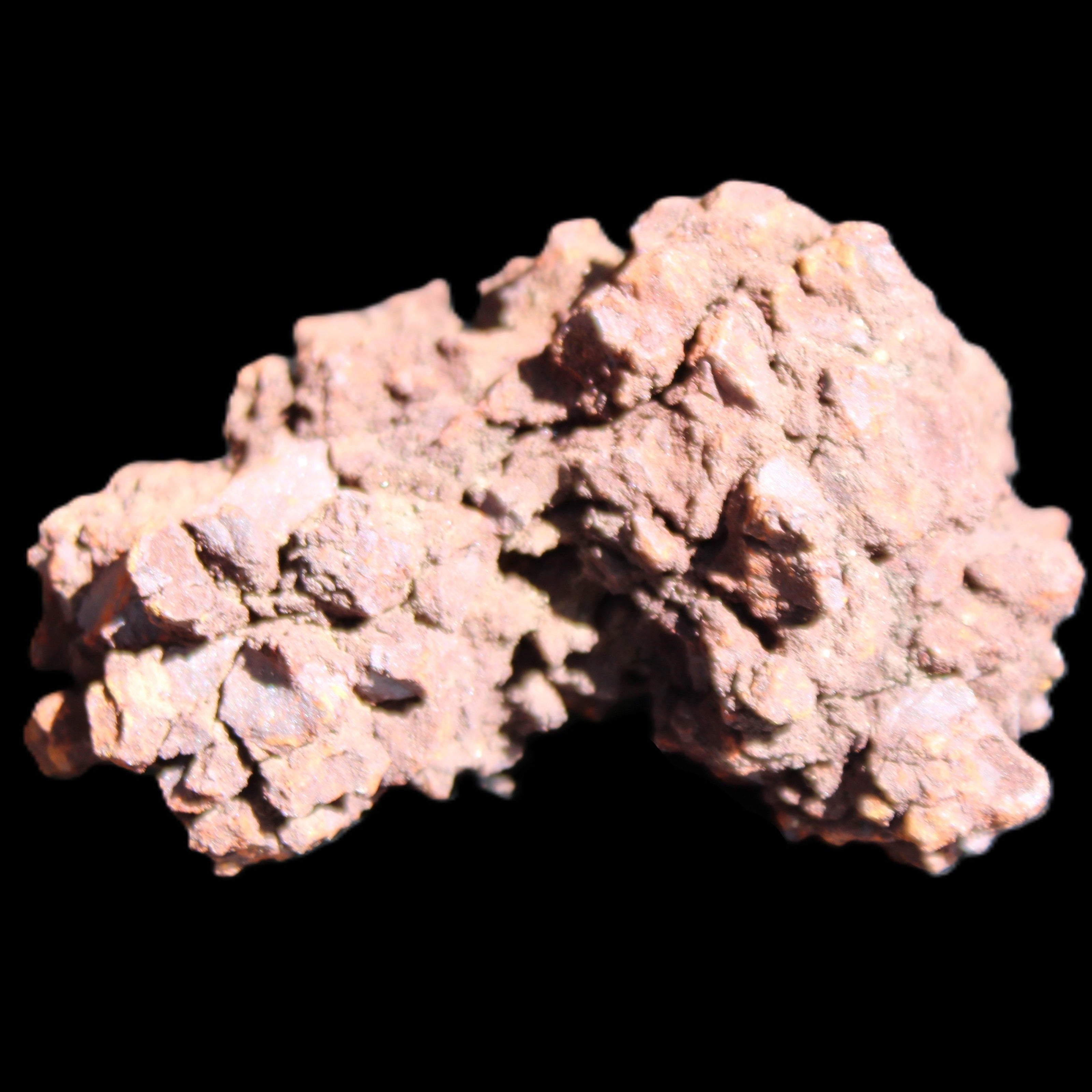 Jurassic Coprolite from Madagascar 78*53*42mm 150g in sunlight - Rocks and Things Store
