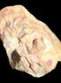 Petrified Wood unpolished from Queensland 72*61*37mm 223g in sunlight - Rocks and Things Store