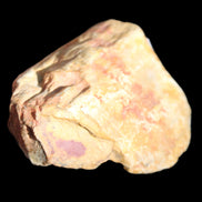 Petrified Wood unpolished from Queensland 72*61*37mm 223g in sunlight - Rocks and Things Store