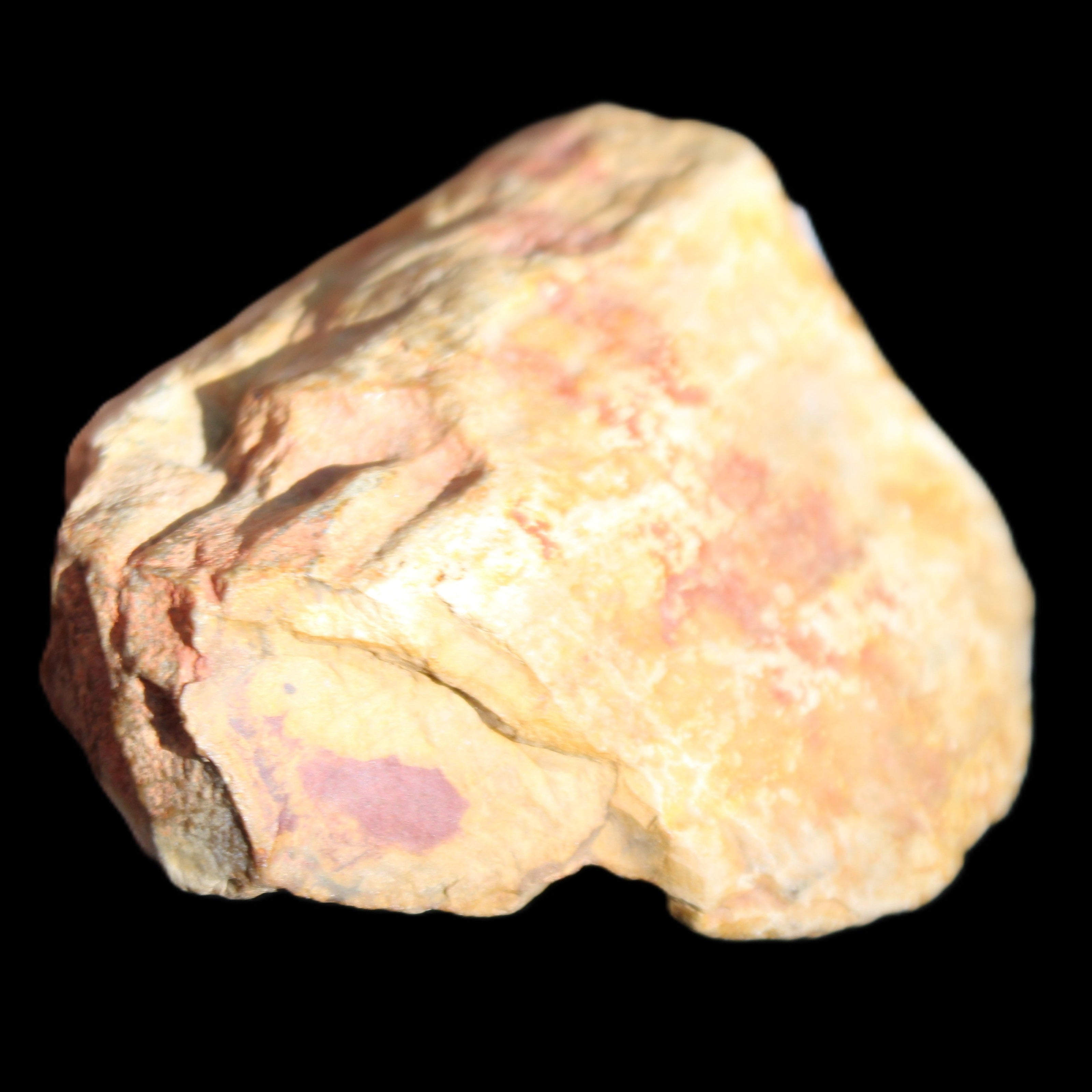 Petrified Wood unpolished from Queensland 72*61*37mm 223g in sunlight - Rocks and Things Store