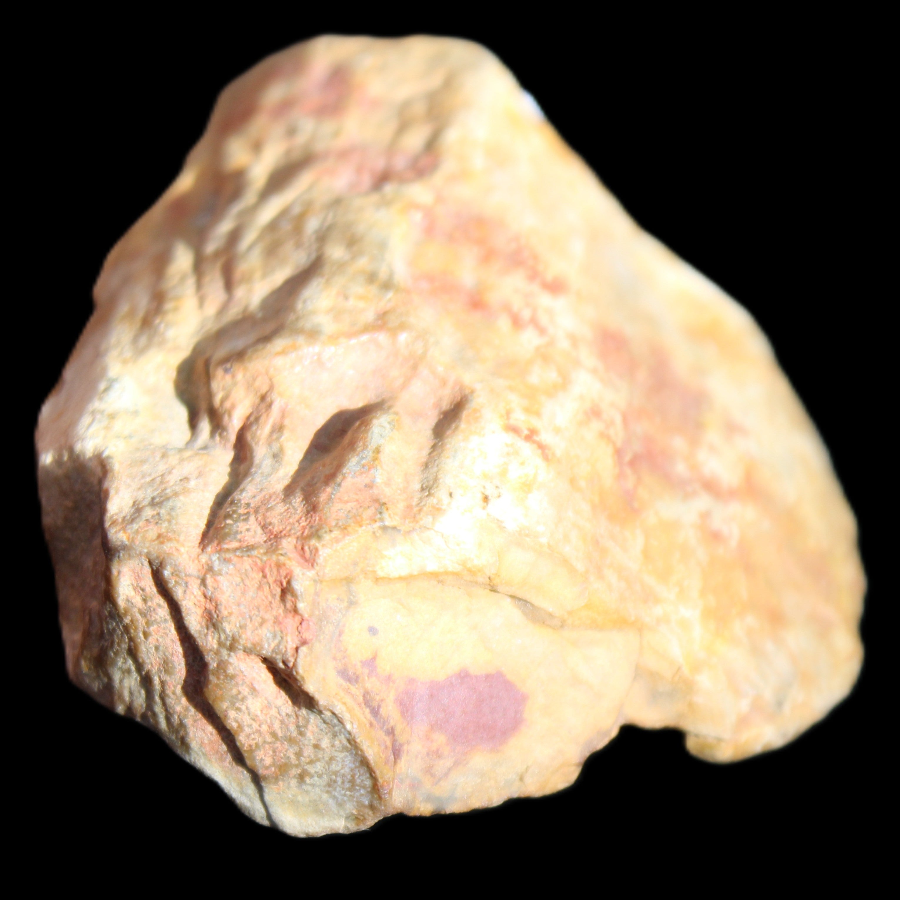 Petrified Wood unpolished from Queensland 72*61*37mm 223g in sunlight - Rocks and Things Store