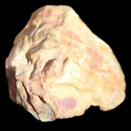 Petrified Wood unpolished from Queensland 72*61*37mm 223g in sunlight - Rocks and Things Store