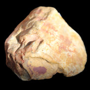 Petrified Wood unpolished from Queensland 72*61*37mm 223g in sunlight - Rocks and Things Store