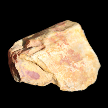 Petrified Wood unpolished from Queensland 72*61*37mm 223g in sunlight - Rocks and Things Store