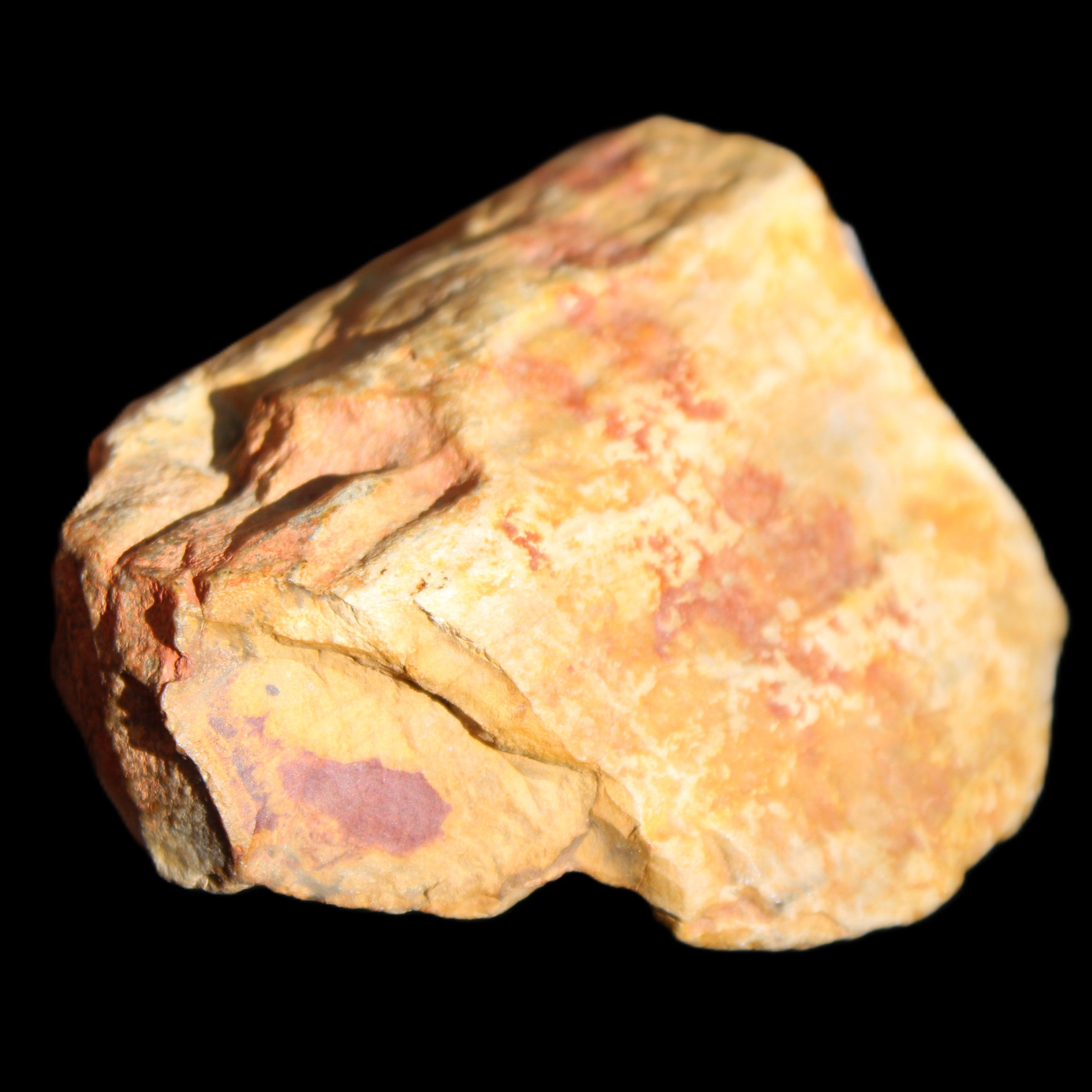 Petrified Wood unpolished from Queensland 72*61*37mm 223g in sunlight - Rocks and Things Store