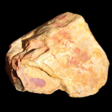 Petrified Wood unpolished from Queensland 72*61*37mm 223g in sunlight - Rocks and Things Store