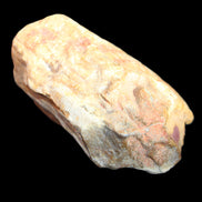 Petrified Wood unpolished from Queensland 72*61*37mm 223g in sunlight - Rocks and Things Store