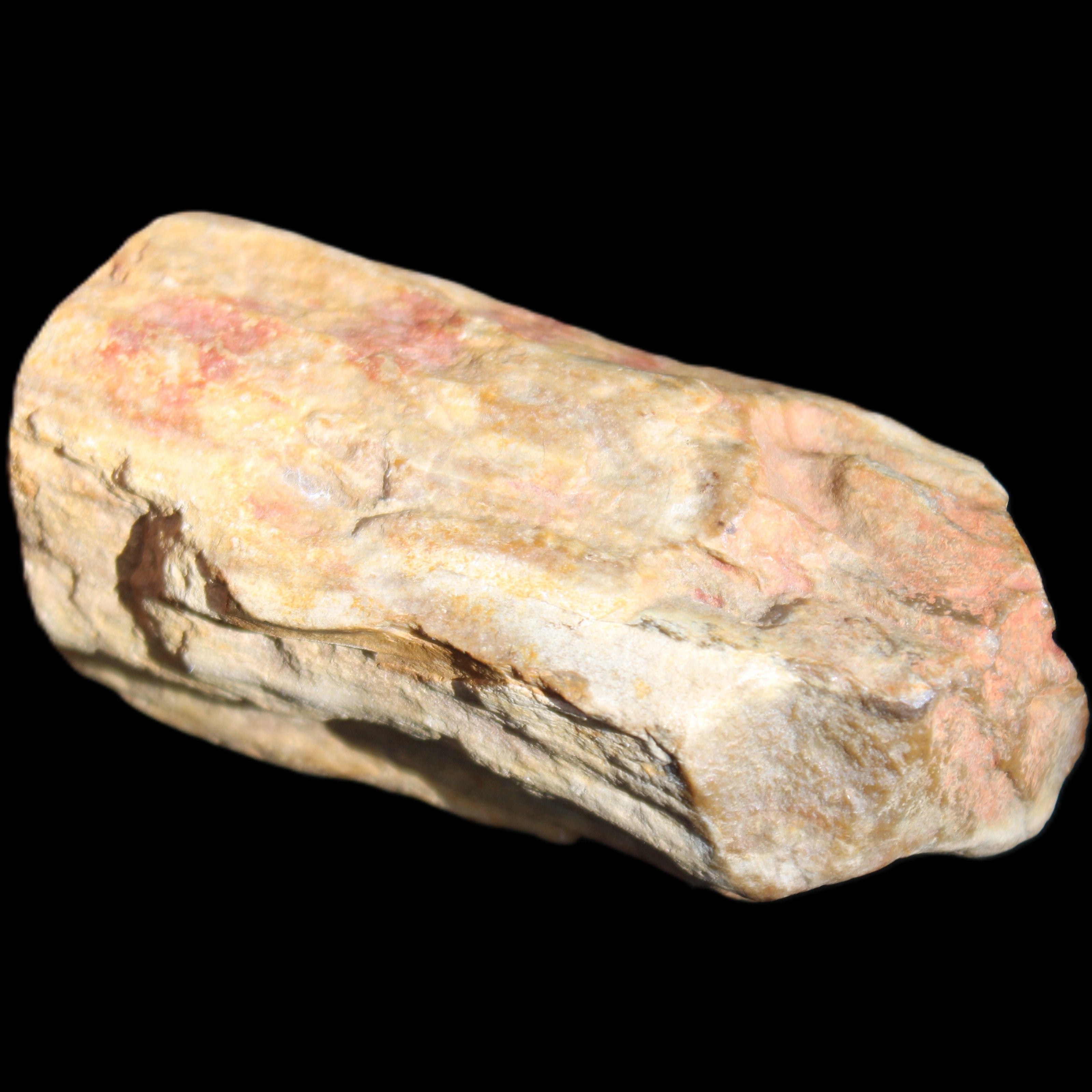 Petrified Wood unpolished from Queensland 72*61*37mm 223g in sunlight - Rocks and Things Store