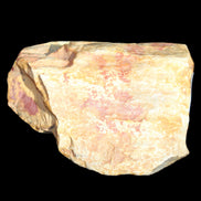 Petrified Wood unpolished from Queensland 72*61*37mm 223g in sunlight - Rocks and Things Store