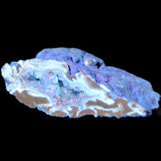 Blue dyed Agate geode 51*34*18mm 32g in sunlight - Rocks and Things Store
