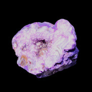Violet dyed Agate geode 45*34*27mm 34g in sunlight - Rocks and Things Store