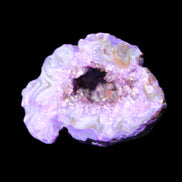 Violet dyed Agate geode 45*34*27mm 34g in sunlight - Rocks and Things Store