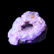 Violet dyed Agate geode 45*34*27mm 34g in sunlight - Rocks and Things Store