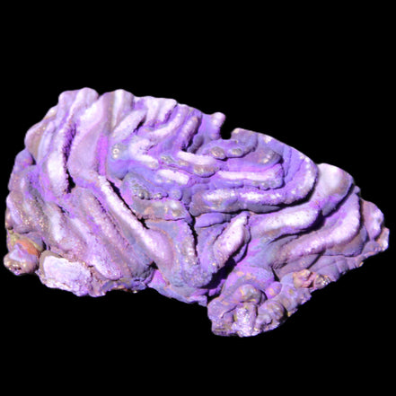 Violet dyed Agate geode 54*20*33mm 31g in sunlight - Rocks and Things Store