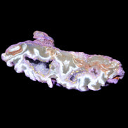 Violet dyed Agate geode 54*20*33mm 31g in sunlight - Rocks and Things Store