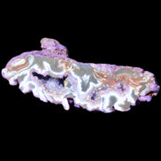 Violet dyed Agate geode 54*20*33mm 31g in sunlight - Rocks and Things Store