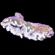 Violet dyed Agate geode 54*20*33mm 31g in sunlight - Rocks and Things Store