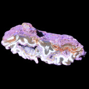 Violet dyed Agate geode 54*20*33mm 31g in sunlight - Rocks and Things Store
