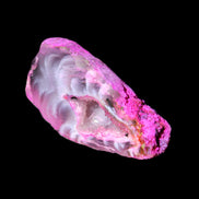 Magenta dyed Agate geode 41*22*14mm 20g in sunlight - Rocks and Things Store