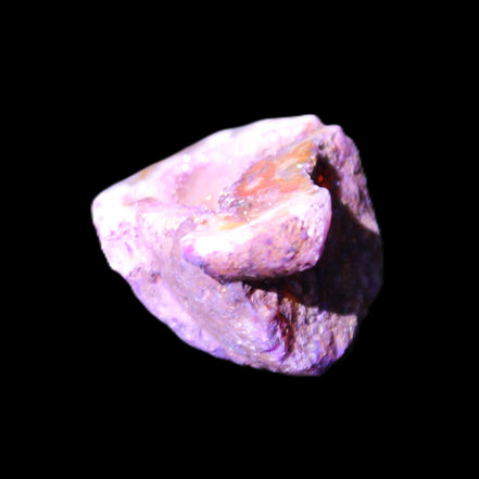 Violet dyed Agate geode 37*28*22mm 21g in sunlight - Rocks and Things Store