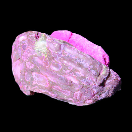 Magenta dyed lumpy Agate geode 46*28*27mm 42g in sunlight - Rocks and Things Store