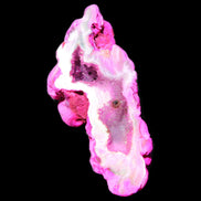 Magenta dyed Agate geode 52*24*16mm 15.5g in sunlight - Rocks and Things Store