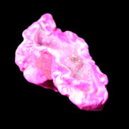 Magenta dyed Agate geode 52*24*16mm 15.5g in sunlight - Rocks and Things Store