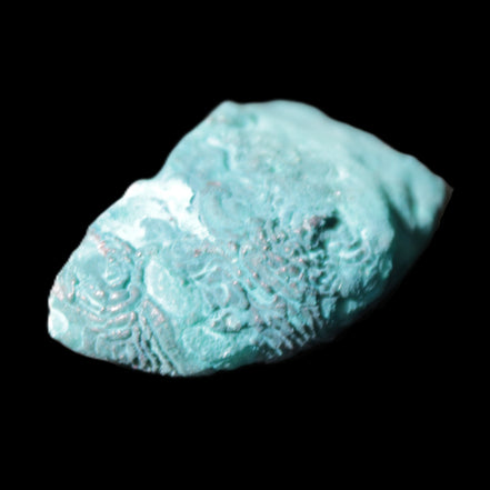 Green dyed Agate geode 45*15*22mm 21g in sunlight - Rocks and Things Store