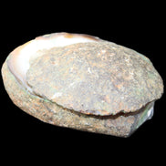 Agate geode 92*80*36mm  (312+83g) 395g in sunlight - Rocks and Things Store