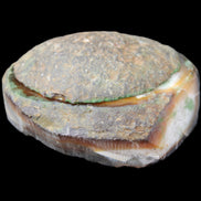 Agate geode 92*80*36mm  (312+83g) 395g in sunlight - Rocks and Things Store