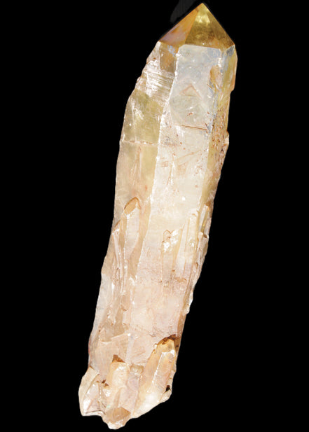 Natural Citrine backbone crystal 261*71*59mm 1365g in sunlight - Rocks and Things Store