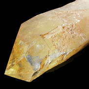 Natural Citrine backbone crystal 261*71*59mm 1365g in sunlight - Rocks and Things Store