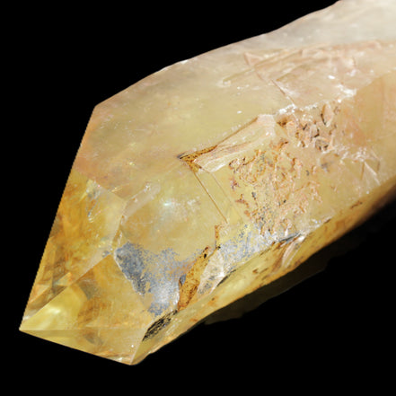 Natural Citrine backbone crystal 261*71*59mm 1365g in sunlight - Rocks and Things Store