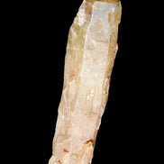 Natural Citrine backbone crystal 261*71*59mm 1365g in sunlight - Rocks and Things Store