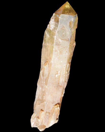 Natural Citrine backbone crystal 261*71*59mm 1365g in sunlight - Rocks and Things Store