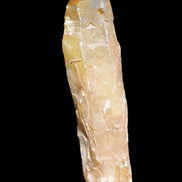 Natural Citrine backbone crystal 261*71*59mm 1365g in sunlight - Rocks and Things Store