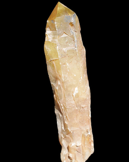 Natural Citrine backbone crystal 261*71*59mm 1365g in sunlight - Rocks and Things Store