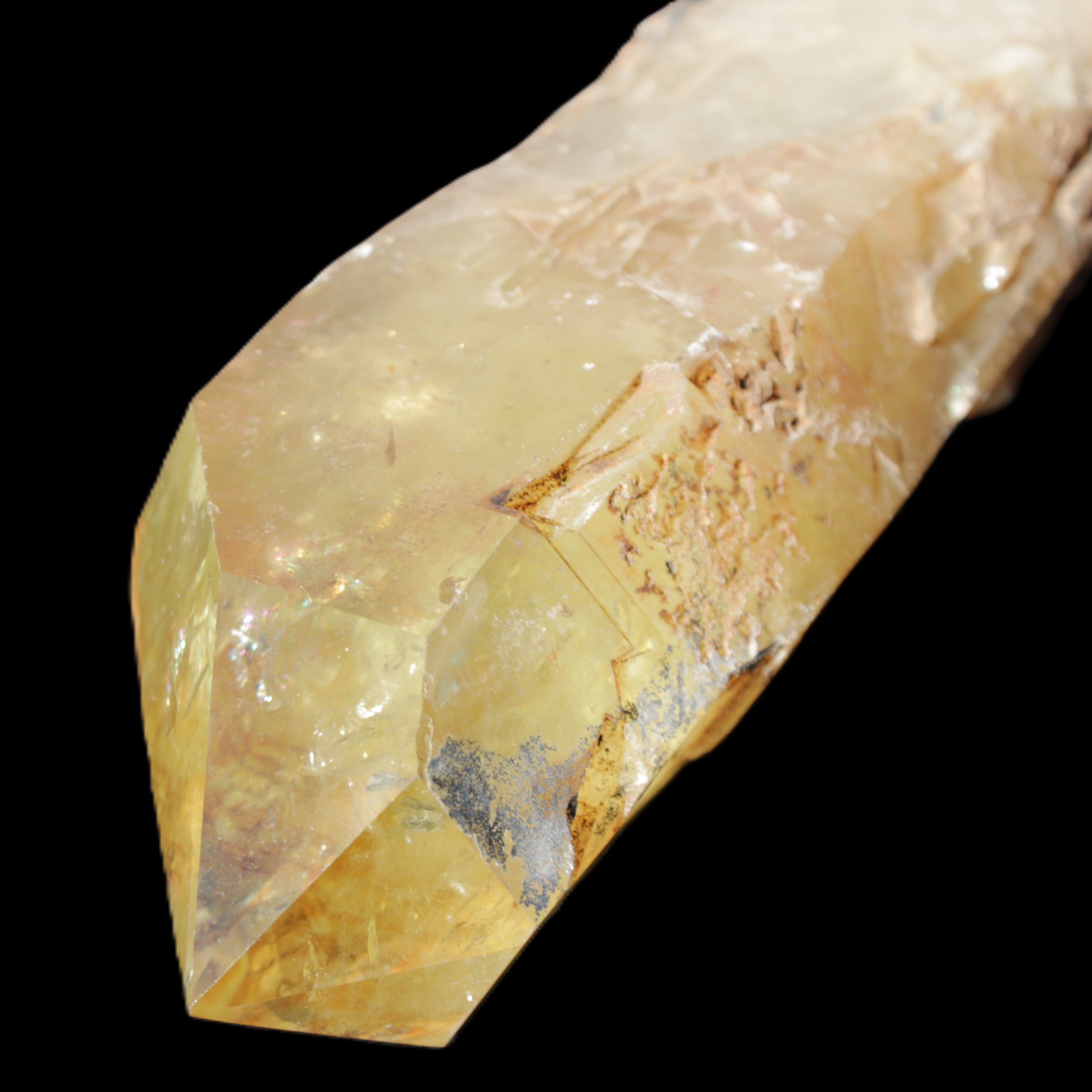Natural Citrine backbone crystal 261*71*59mm 1365g in sunlight - Rocks and Things Store