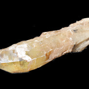 Natural Citrine backbone crystal 261*71*59mm 1365g in sunlight - Rocks and Things Store
