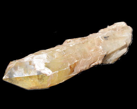 Natural Citrine backbone crystal 261*71*59mm 1365g in sunlight - Rocks and Things Store