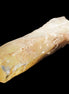 Natural Citrine backbone crystal 261*71*59mm 1365g in sunlight - Rocks and Things Store