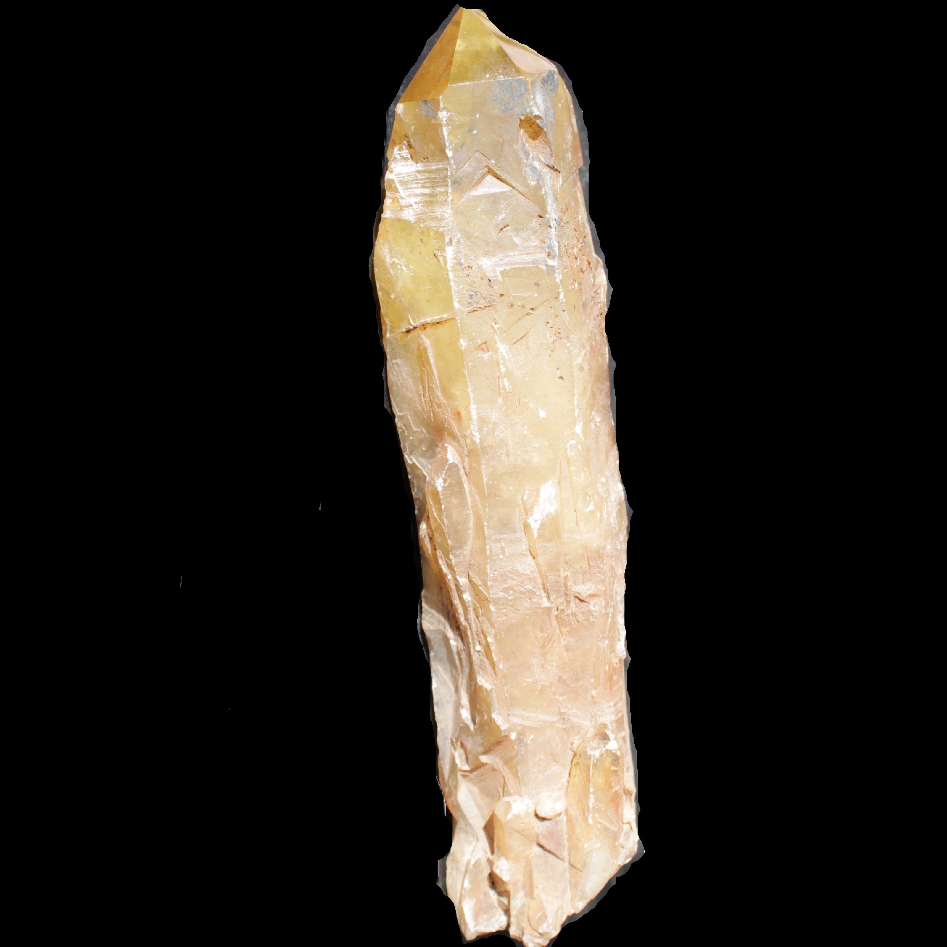 Natural Citrine backbone crystal 261*71*59mm 1365g in sunlight - Rocks and Things Store