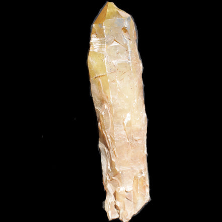 Natural Citrine backbone crystal 261*71*59mm 1365g in sunlight - Rocks and Things Store